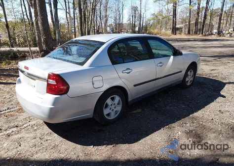 2005 Chevrolet Malibu z USA, uszkodzony, nr VIN 1G1ZS52F75F199156